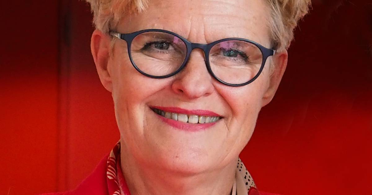 Sarien Shkolnik stopt als bestuurder Graafschap College ...