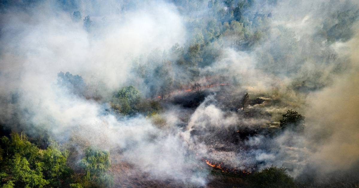 Heel Herkenbosch ontruimd vanwege grote natuurbrand