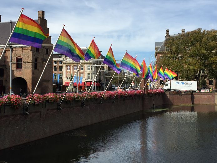 Regenboogvlag Hangt Uit In 160 Gemeenten Den Haag Ad Nl