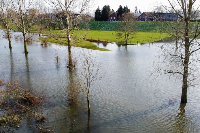 Hoogwater In De Maas Rivier Treedt Honderden Meters Buiten Oevers Bij Maren Kessel Oss E O Bd Nl