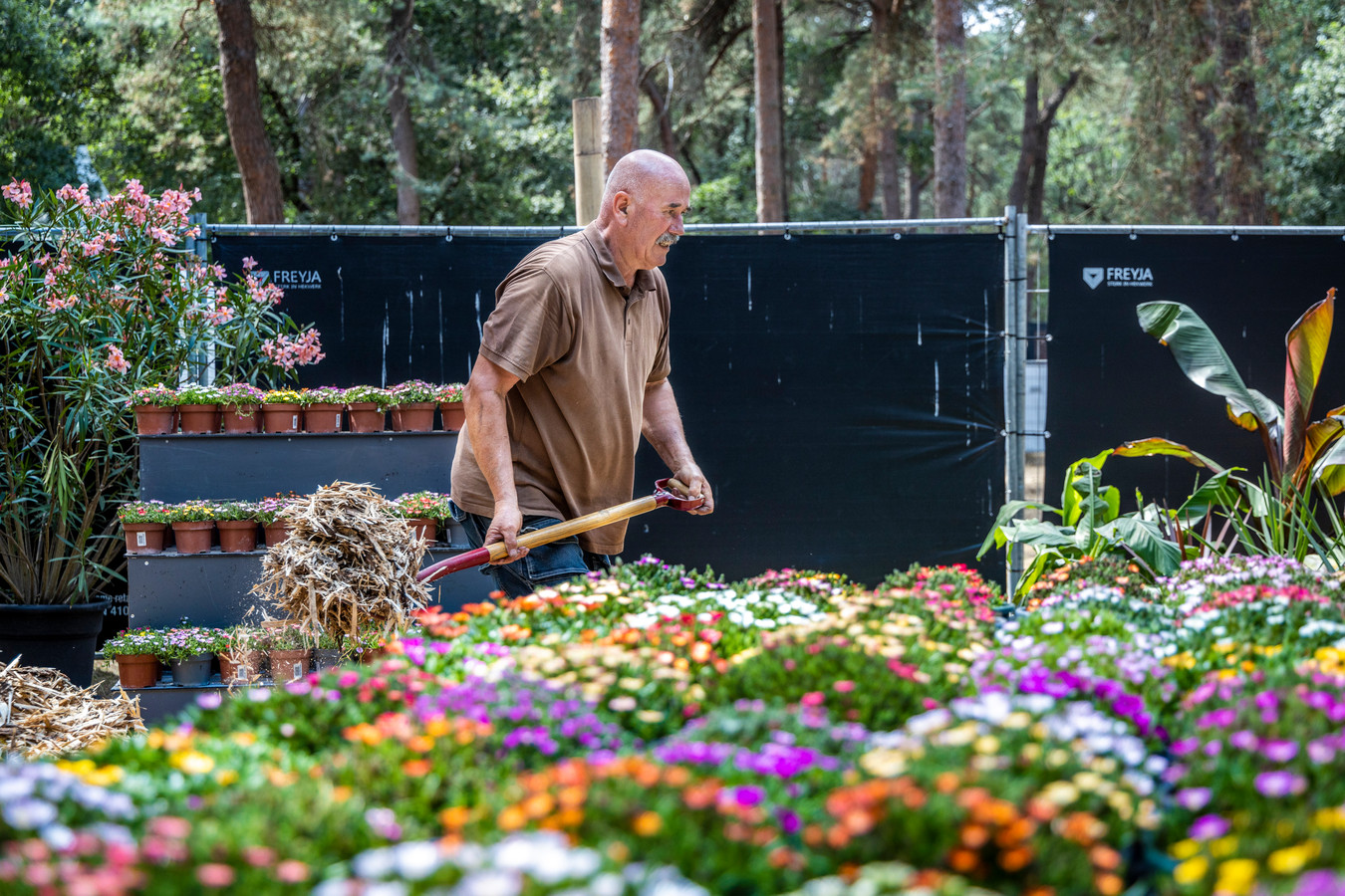 Bloem & Tuin ‘Gelukkig weer een normale editie’ Foto ed.nl