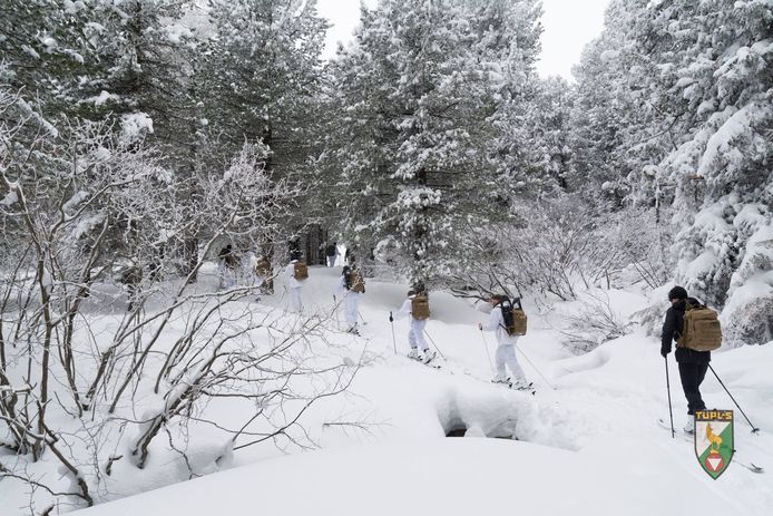 Foto ter illustratie: Belgisch leger op sneeuwmissie in de Alpen