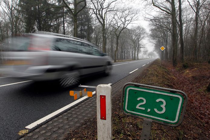 Met een snelheid van zestig kilometer per uur kan zowel de automobilist als de ree beter anticiperen op mogelijke verrassingen.