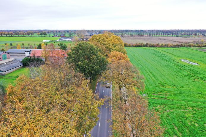 De N270 van Deurne richting Venray: aan de linkerkant liggen stukken grond die de provincie wil kopen voor verbreding van de weg.