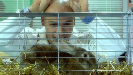 19. Une histoire de lapin