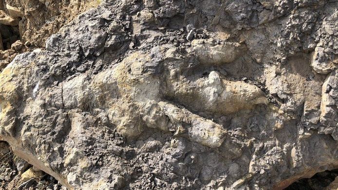 De voetafdruk van de dinosaurus is de grootste ooit gevonden in het Britse Yorkshire.