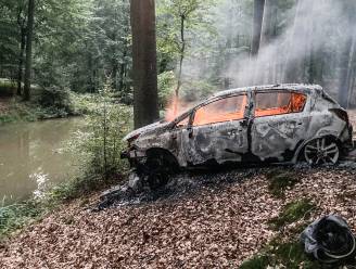 Auto brandt helemaal uit nadat bestuurster met glaasje op zich vastrijdt in Dhoppebos