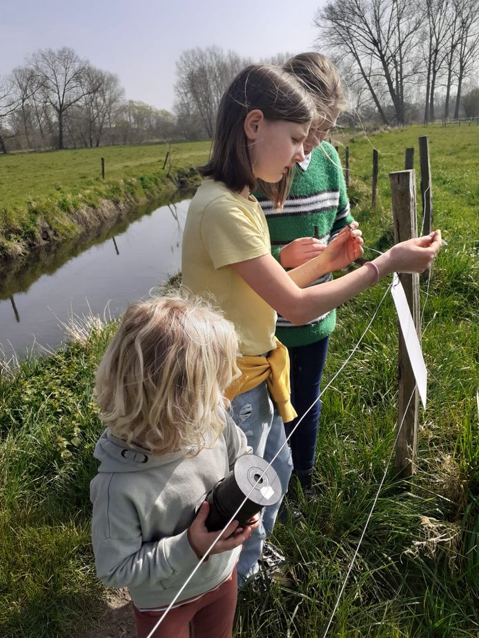 Lentewandeling in Gijzegem