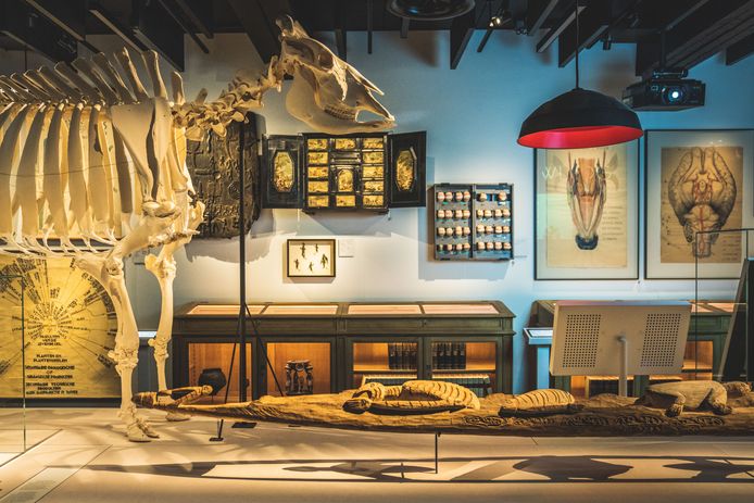 Het GUM, het nieuwe museum van de UGent.