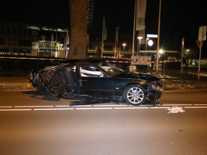 Automobilist richt ravage aan op Goirleseweg in Tilburg; drie gewonden