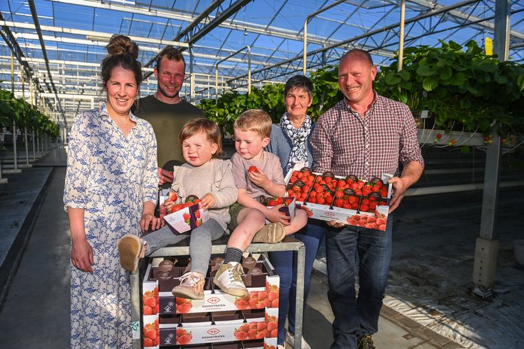 Tom Vermeiren - hier tussen zijn vrouw Evelien en kindjes Niene en Sepp - stapte vier jaar geleden in de familiezaak van zijn ouders An en Martin. Beeld Photo News