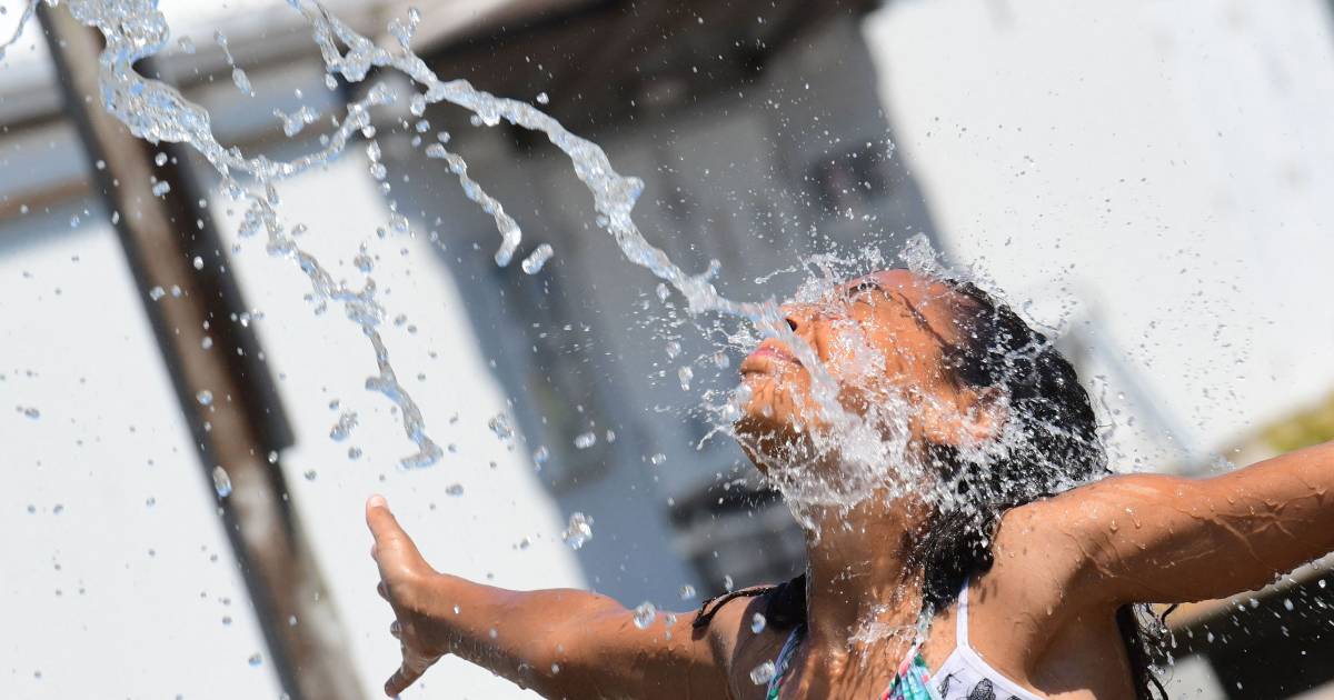 Le registrazioni di temperature e condizioni meteorologiche estreme incombono: “Esistono tutte le condizioni per El Niño” |  Scienza e pianeta