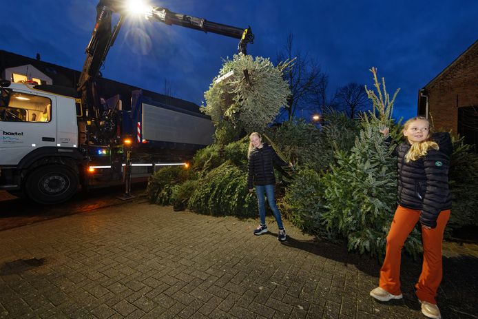Mirthe en Vayen van Loo tussen een deel van de 230 opgehaalde kerstbomen.