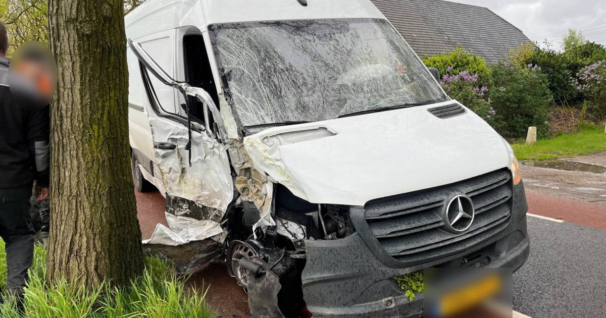Bestelbus flink beschadigd bij botsing tegen boom in De Moer | 112 nieuws Brabant