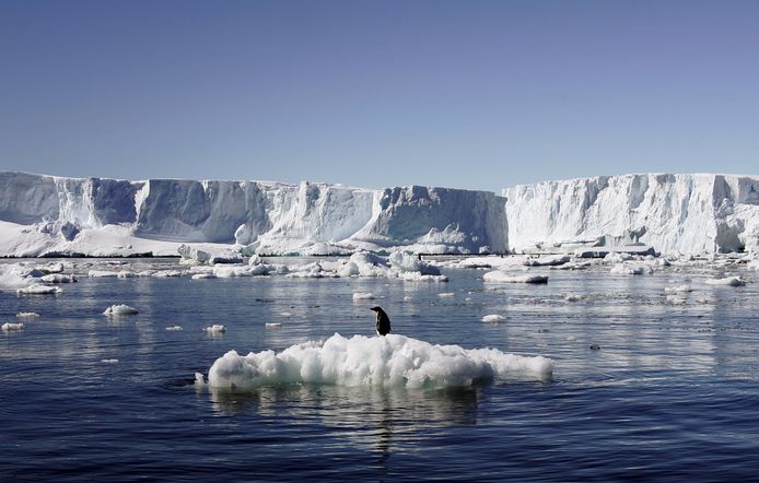 Een pinguïn op een smeltend stuk ijs in Antartica. Archieffoto.