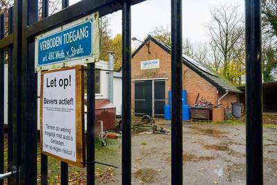 Jeugdwerk Ravenstein kan niet terug naar hun verzakte gebouw: ‘Grote kans dat het onveilig wordt’