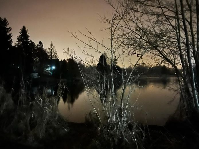 De 81-jarige man sukkelde in een vijver langs de Dreef in Overijse.