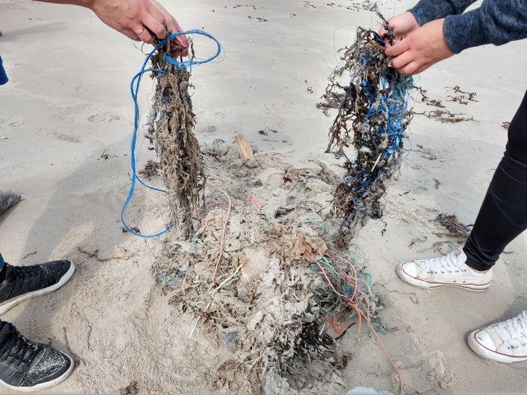 Wetenschap en activisme ineen: de strandopruimdagen van de Stichting Noordzee.  Beeld Stichting De Noordzee