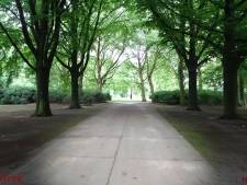 Fiets gast in verlicht Leijpark