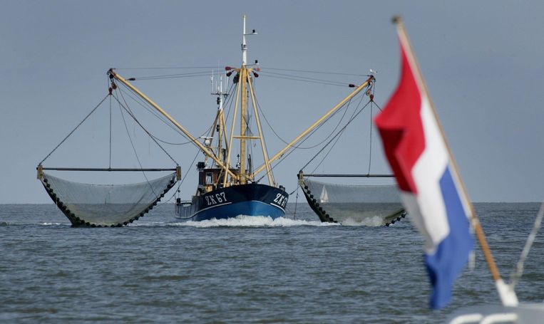 Een garnalenvisser voor de haven van Lauwersoog. FOTO KOEN SUYK, ANP 
 Beeld 