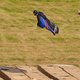 Brit springt zonder parachute van 700 meter