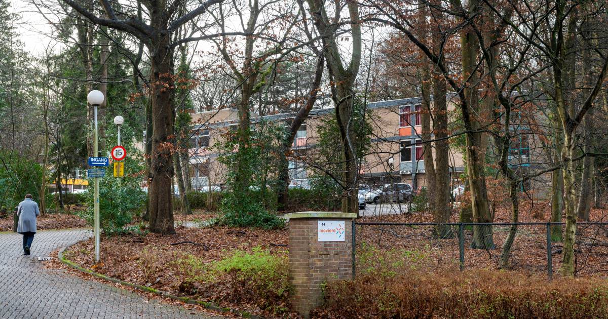 Oosterbekers hopen alsnog kap bomen op azc-terrein Nico Bovenweg te ...