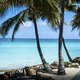 Cuba-trip van Waalse vakbond kost €120.000