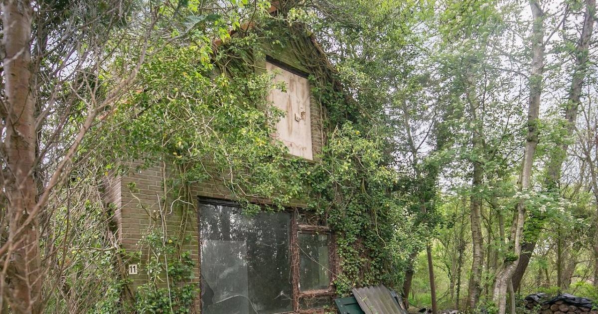 Verkopen ‘spookhuizen’ minder goed, of juist beter? ‘Zo'n moord heeft impact, maar er komen toch wee