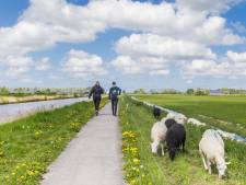 Vandaag is het Wandel tijdens je Werk-dag: waarom wandelen zo goed voor je is