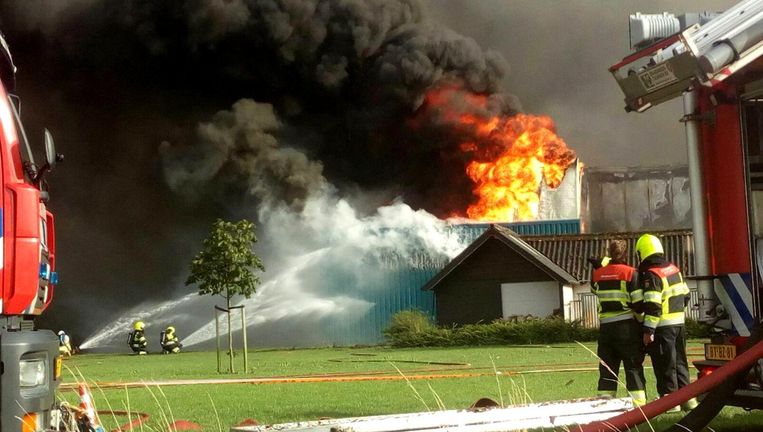 Bij de stalbrand in Erichem stierven zo'n 20 duizend dieren. Beeld anp