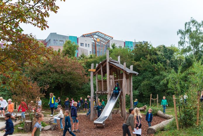 Een groen schoolplein bij een basisschool in Zwolle.