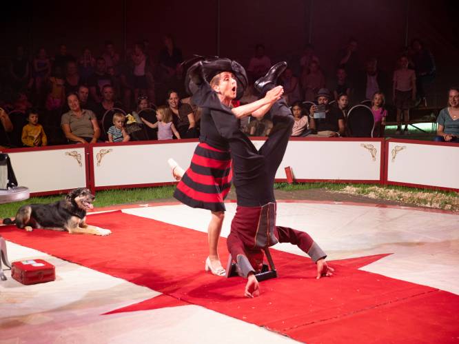 Stroomstoring mag de pret niet drukken: 250 bezoekers genieten van knus klein circus in Son