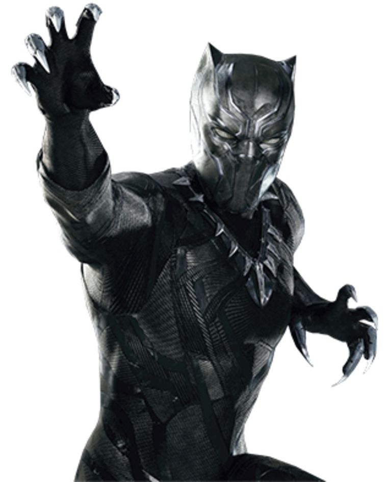 Black Panther Beeld RV