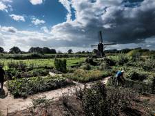 Onrust in Bronckhorst, dat omsingeld dreigt te worden door windmolens