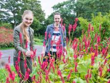 Van groente fermenteren tot plastic rapen: Zoetermeerse jongeren zetten zich in voor natuur