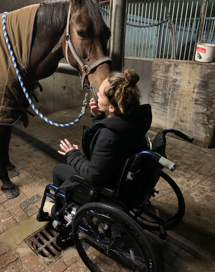 Het ging mis: Chanel lag klem paard van 600 kilo, nu heeft ze een 'Marktplaats' voor paardenspullen | Binnenland | gelderlander.nl