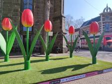 Enschede viert de lente met reuzenbloemen in de stad