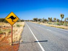 L'Australie va planter un milliard d'arbres pour lutter contre le dérèglement climatique