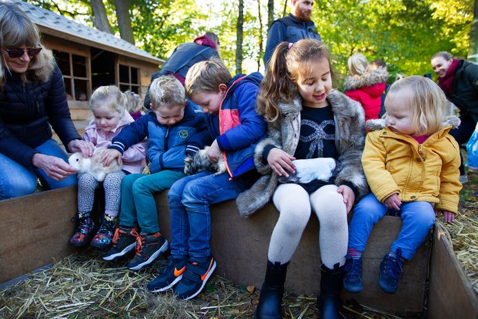 Knuffelen met konijnen en cavia's op de mobiele kinderboerderij bij wijkcentrum De Mortel in de Achtste Barrier.