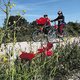 Hollands fietsen in Toscane