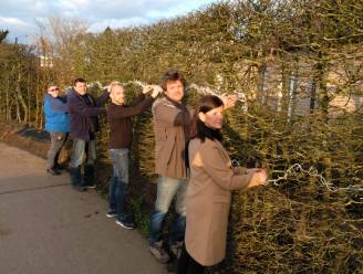 “We laten onze kerstlichtjes hangen om het veilig te houden”: buren van rotonde niet te spreken over gedoofde straatverlichting