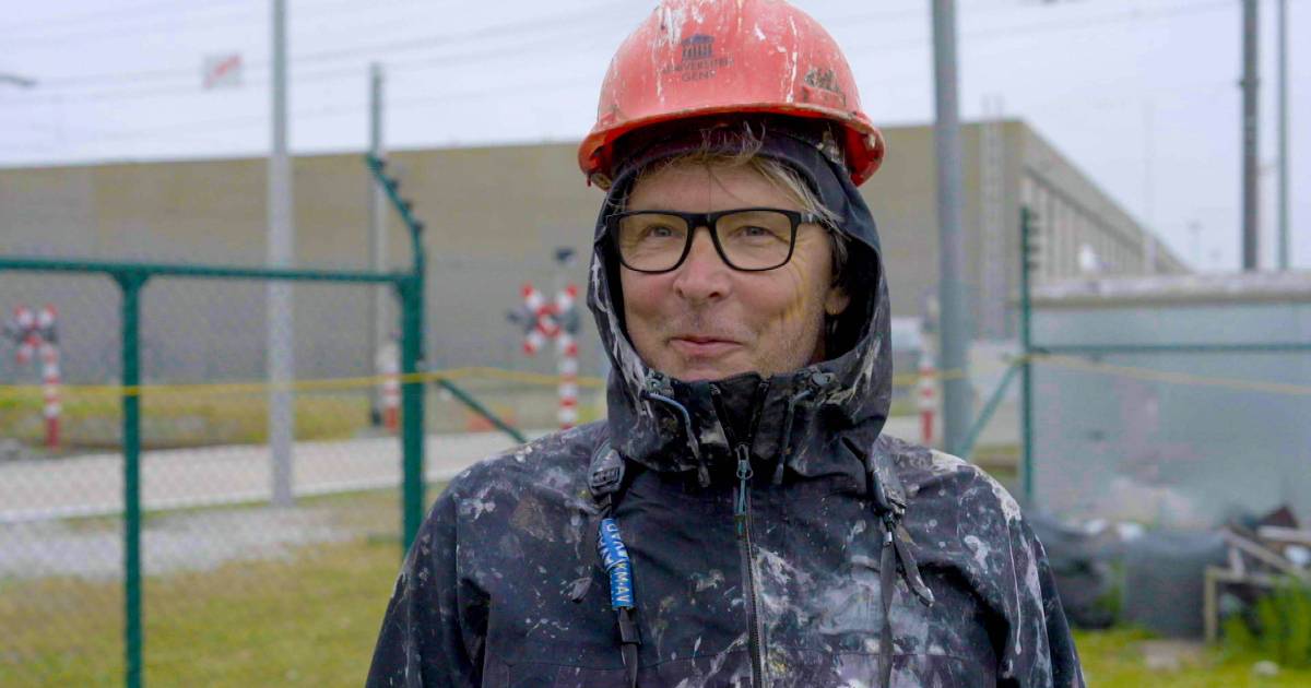 Lo scienziato Eric ha letteralmente fatto un pessimo lavoro: “Un gabbiano può mirare finché non ti gocciola sul collo” |  televisione