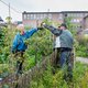 Door de moestuin staan de omwonenden sneller voor elkaar klaar