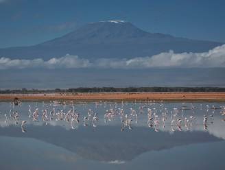 Tanzania installeert snel internet op Kilimanjaro