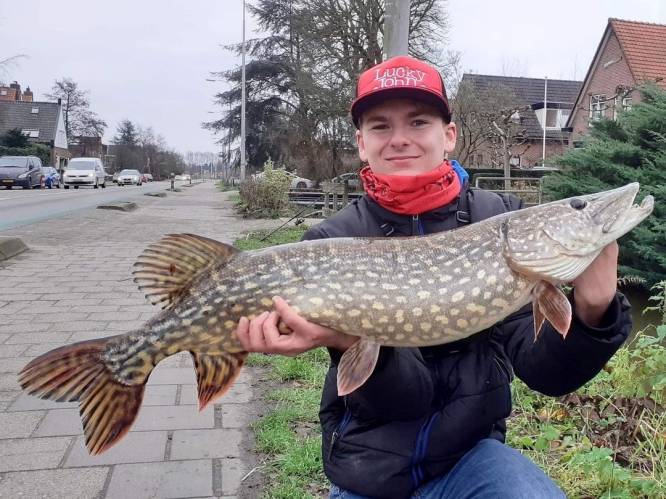 Streetfishing is hip bij jongeren: “Voor zo’n 150 euro heb je al wat nodig is voor een beginner”