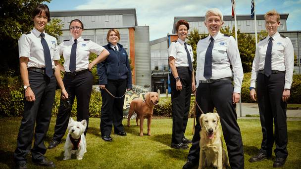 Animal rescue school