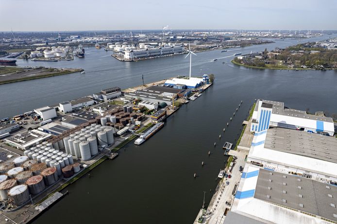 In de Amsterdamse haven zou nog altijd Russische olie worden opgeslagen.