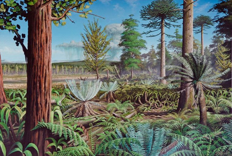 null Beeld British Antarctic Survey