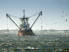 Le Parlement européen vote pour une pêche durable