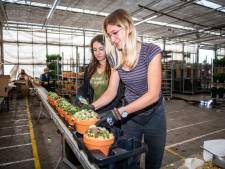 Imago arbeidsmigranten klopt niet: Lukasz, Claudia en Aleksandra balen van slechte beeldvorming